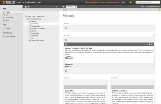 Back End Editing View